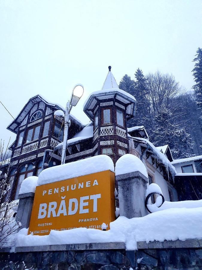 בוסטאני Vila Bradet מראה חיצוני תמונה